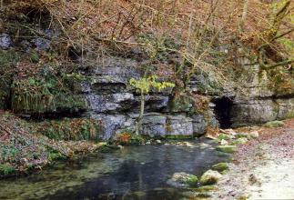 Unter einer stark bewachsenen, nach rechts abfallenden Böschung stehen graublaue Felsen an, in denen sich rechts eine kleinere Höhle gebildet hat. Ein schmaler Bach fließt daraus und über dunklem Grund auf den Betrachter zu.