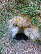 Unterhalb einer rötlich braunen, stark bewachsenen Felsnase ist eine kleine, halbrunde schwarze Öffnung sichtbar. Verwelktes Laub liegt davor.