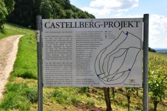 Blick auf eine mehrfarbige Tafel mit Hinweisen sowie einer Karte zum Castellberg. Die Tafel, die zwischen zwei Metallstangen festgemacht ist, steht vor einem Rebhang. Links führt ein Weg den Hang hinauf.