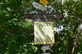 Das Bild zeigt mehrere Hinweisschilder rund um das Naturschutzgebiet Castellberg. Die Schilder sind an einer Metallstange befestigt, die inmitten von Gehölz steht.
