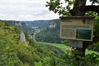 Blick aus großer Höhe auf einen Abschnitt des Oberen Donautals mit bewaldeten Berghängen, die links und rechts des Tals aufsteigen. An den Hängen ragen zudem schroffe Felsen heraus. Rechts beschreibt eine kleine Tafel die Entstehung des Donautals.
