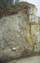 Blick auf eine weißliche, verwitterte Felswand, an die sich links graues, von kleineren Felsbrocken gesprenkeltes Material anschließt. Die Kuppe bildet eine braune, durchwurzelte Erdschicht sowie angrenzender Baumbestand. Unten rechts steht ein Pfosten.