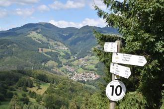Blick von erhöhtem Standort auf eine Schwarzwald-Landschaft mit bewaldeten Bergen, waldfreien Hängen und einer Ortschaft. Rechts im Vordergrund, vor einem Nadelbaum, steht ein Schild mit verschiedenen Wegweisern.