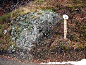 Das Bild zeigt einen rundgeschliffenen grauen Felsblock an einem Hang. Dichtes Gestrüpp umgibt den Felsblock.