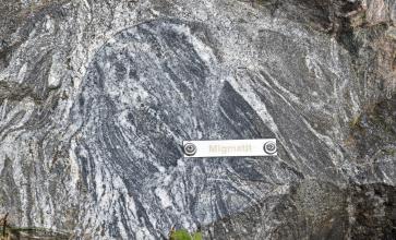 Nahaufnahme von der Oberfläche eines Migmatits. Das Gestein ist weißlich bis bräunlich grau, in der Mitte auch bläulich grau marmoriert.