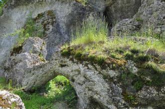 Nahaufnahme von bemoosten und bewachsenen Stellen auf einer Felsformation. Im Vordergrund bildet ein Felsenteil eine bogenförmige Brücke.