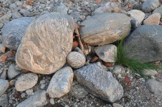 Nahaufnahme verschieden großer, meist rundgeschliffener Steine auf einem trockenen, kiesigen Untergrund.