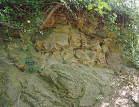Leicht seitlicher Blick auf eine Wegböschung mit oben überhängendem Bewuchs. In der Bildmitte, auf dunkelgrauem, nach links ansteigendem Sockel, liegt olivgrünes, stückiges Gestein auf.