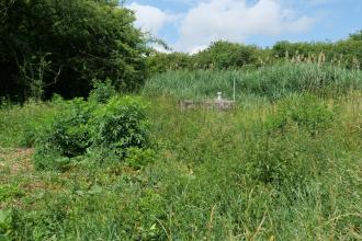 Blick auf eine leicht ansteigende, trockene Wiese. Hinter Gebüsch verborgen, ist der Deckel eines Quellschachtes zu erkennen. Der Hintergrund wird von Wald gesäumt.