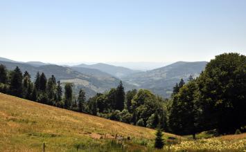 Blick über abwärts führende Berghänge mit bräunlichem Gras und angrenzendem Wald. Im Hintergrund öffnet sich zwischen bewaldeten Bergen ein Tal; dahinter erhebt sich eine blasse, hohe Bergkette.