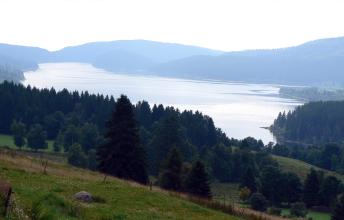 Blick über einen großen, hell glänzenden See. Der See ist rundum von bewaldeten Bergen und Waldzungen umschlossen. Im Vordergrund links, zum Betrachter hin, steigt eine Bergwiese auf.