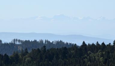 Blick von erhöhtem Standort über mehrere Waldspitzen und bewaldete Berge. Im dunstigen Hintergrund sind höhere Berge erkennbar, auf deren Felsgraten Schnee liegt.