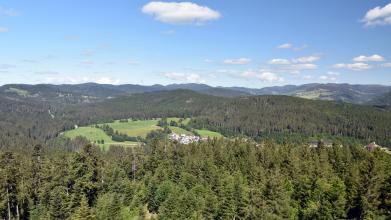 Blick aus großer Höhe über Wälder und bewaldete Berge. In der Bildmitte ist zwischen den Bäumen eine inselartige Grünfläche zu erkennen, an deren Rand einige Häuser stehen.