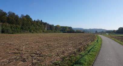 Das Foto zeigt flache, abgeerntete braune Ackerflächen, zwischen denen rechts ein geteerter Weg hindurchführt. Links grenzt Wald an die Äcker. Im Hintergrund erheben sich bewaldete Bergrücken.