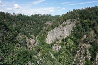 Blick auf zum Hintergrund hin ansteigende, bewaldete Berghänge. Die Hänge verlaufen entlang einer steilen Straße und sind durchsetzt von kahlen grauen Felsformationen.