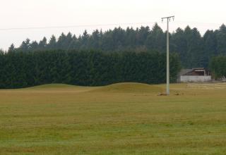 Das Bild zeigt zwei am hinteren Ende einer Grünlandfläche liegende Erdhügel, die ebenfalls mit Gras bewachsen sind. Im Hintergrund stehen Nadelwälder.