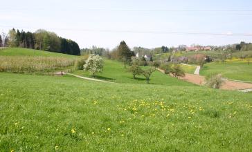Blick auf ein von Hügeln umgebenes Tal mit blühenden Wiesen, Bäumen und einem einzelnen Acker. Im Hintergrund rechts sind Gebäude erkennbar.