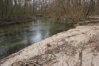 Blick auf eine hellgraubraune Sandbank. Die Bank liegt rechts am Ufer eines Altrheinarmes und ist nach einem Hochwasser entstanden. Im Hintergrund windet sich der Fluss durch dicht stehendes Gehölz.