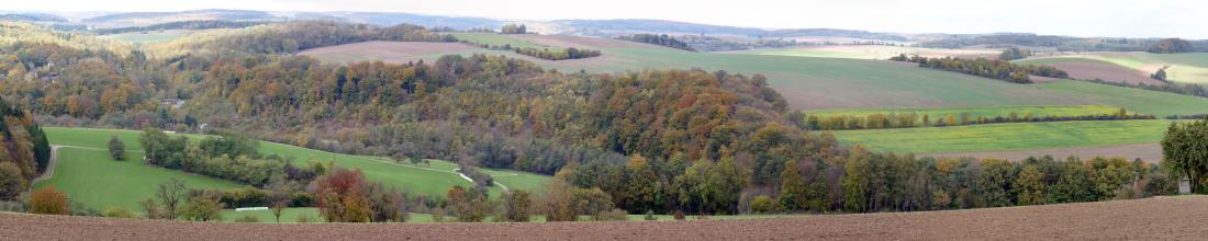 Panoramabild einer hügeligen Ackerlandschaft, die von Waldgebieten und Heckenstreifen durchsetzt ist.