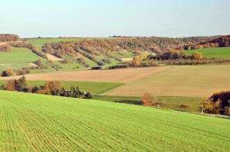 Auf einen nach rechts abfallenden, begrünten Acker folgen in der Bildmitte weitere, nach rechts ansteigende Ackerflächen. Den Abschluss bildet ein Gegenhang links; mit Wald, Hecken und Steinhügeln.