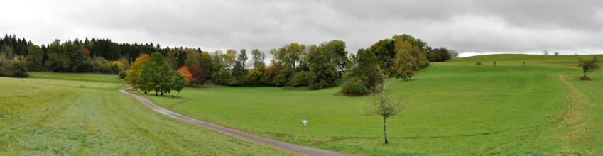 Panoramabild einer grünen, zum Hintergrund hin mit Bäumen bestandenen Senke, deren Ränder nach links und rechts hügelig ansteigen.