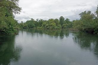 Blick auf einen stillgelegten Flussarm mit bewaldetem Ufer. Es regnet, und teilweise schwimmen abgebrochene Äste im Wasser.