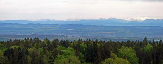 Blick von erhöhtem Standort über waldige Hügel auf einen großen See. Dahinter erheben sich bewaldete Berge sowie eine Hochbegirgskette mit verschneiten Spitzen.