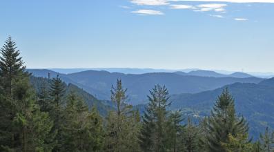 Blick von erhöhtem Standort über einen nach links ansteigenden Wald auf zahlreiche bewaldete Berge, die bis zum Hintergrund reichen. Links am Bildrand steht auf einem dieser Berge ein Turm.