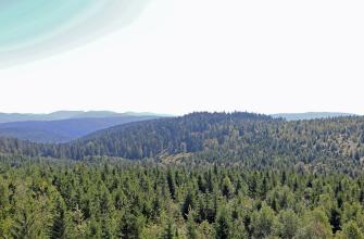 Blick aus großer Höhe über einen Waldgürtel und bewaldete Berge im Vorder- und Mittelgrund. Am Horizont verläuft eine langgezogene flache Bergkette.