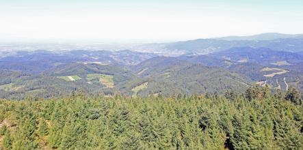 Blick aus großer Höhe über einen Waldgürtel. Im Mittelgrund liegen zahlreiche bewaldete Berge und Plateaus, die nach links in eine Ebene auslaufen. Rechts hinten erheben sich weitere, höhere Berge.