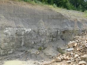 Das Bild zeigt eine etwa 3 Meter hohe, graue und gelbliche Abbauwand mit Abraum aus Tonmergeln und Sandsteinbänken.