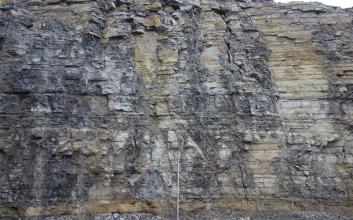 Blick auf eine Steinbruchwand aus hellem, meist grau angewitterten dünnbankigen, teilweise plattigen Kalkstein. Vor der hohen Wand steht ein Maßstab.