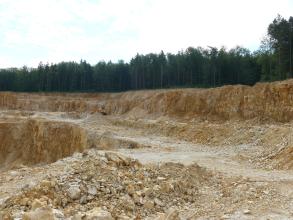 Der Betrachter befindet sich auf der Abbaustufe eines Steinbruchs, in welchem gelblich-beiges, gebanktes und geklüftetes Gestein abgebaut wird. Im Hintergrund befindet sich dunkler Wald.