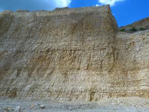Blick von unten auf eine hohe Abbauwand aus geschichteten, unterschiedlich hellen Kalksteinen.