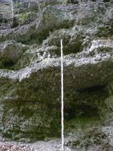 Blick auf eine grünlich graue Gesteinswand mit wellenförmigen Ausbuchtungen. Kleine und größere Gesteinsbrocken sind hier fest verbacken.