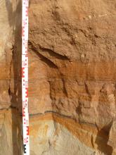 Großaufnahme einer Abbauwand von oben rötlichem bis unten gelblichem, waagrecht gestreiftem Sand. Ein Maßband links zeigt eine Höhe von sieben Zentimetern an. 