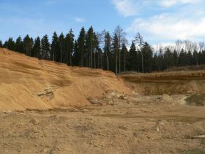 Das Bild zeigt die linke und die hintere Abbauwand sowie den Boden einer Sandgrube. Das rötlich braune Material ist teils horizontal, teils schräg geschichtet. Auf den Kuppen steht Wald.
