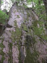 Blick auf eine hohe, von horizontal und vertikal verlaufenden Klüften durchzogene Felswand aus Granit. Das violettgrau gefärbte Gestein ist bemoost und von Bäumen umstanden.