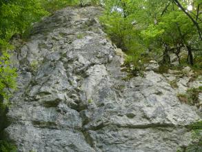 Das Bild zeigt eine größere, freiliegende Felswand. Das Gestein ist grau mit leichten Schattierungen. Unten und oben verlaufen waagrechte Einkerbungen, in der Mitte führen sie senkrecht hinauf. An den Seiten wachsen Bäume.