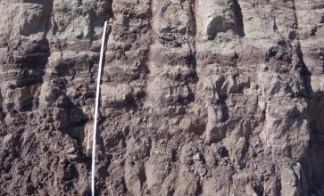 Das Bild zeigt eine senkrecht gefurchte, bräunlich graue Steinbruchwand. Dunkle, waagrechte Streifen durchziehen einen großen Teil der Wand. Links ist eine Messlatte angelehnt.