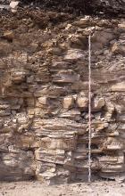 Blick auf eine Aufschlusswand mit feinplattigen und gröberen Lagen. Das Gestein ist rötlich grau bis rötlich braun. Rechts ist eine Messlatte angelehnt.