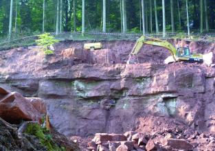 Blick auf eine Abbauwand in einem Steinbruch im Wald. Das anstehende Gestein ist dunkelrot und an manchen Stellen grünlich verfärbt. Vor der Wand auf dem Boden liegen einige kleinere Blöcke. Oben rechts steht ein Bagger.