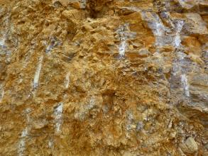 Blick auf stark verkippte Muschelkalkschichten. Das anstehende Gestein ist gelblich angewittert und stark verfaltet.