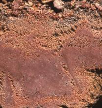 Aufgeschnittenes Gestein mit dunkelroten, glatten Bereichen sowie porösen, teils orangefarbenen Strukturen.