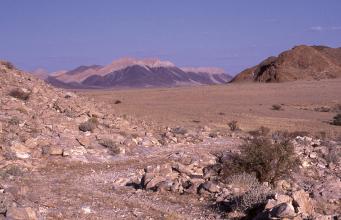 Das Bild zeigt eine afrikanische Wüste mit Bergen im Hintergrund und Geröllfeldern im Vordergrund.