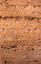 Nahaufnahme von geschliffenem, rötlich braunem Gestein. Der Stein weist zahlreiche korngroße Mineralschichten sowie Lufteinschlüsse auf.