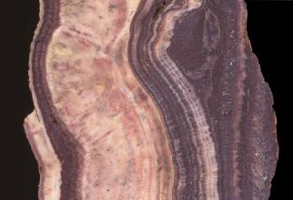 Nahaufnahme eines aufgeschnittenen und geschliffenen Steines mit gerundeten, welligen Mustern. Auf einen dunklen Randbereich links folgt erst eine breite rosa Lage, ehe zum rechten Rand hin wieder dunkelviolette Partien die Oberhand gewinnen.