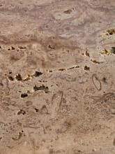 Nahaufnahme einer geschliffenen Gesteinsplatte. In die gelblich braune (unten) bis rötlich graue (oben) Oberfläche mischen sich dunklere Streifen, Maserungen und Lufteinschlüsse.