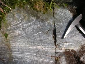 Nahaufnahme von grauem Gestein mit weißen, teils horizontal, teils wellenartig verlaufenden Streifen. Rechts, neben einem Hammer, verläuft ein vertikaler Riss durch das Gestein. Oben ist Moos erkennbar.
