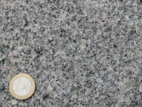 Detailaufnahme eines gräulichen Gesteins. Neben den häufigen grauen Kristallen, finden sich auch etwas hellere und kleine schwarze Kristalle im Gestein. Links unten befindet sich eine 1-Euro-Münze als Maßstab.